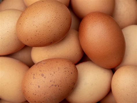 Eggs .